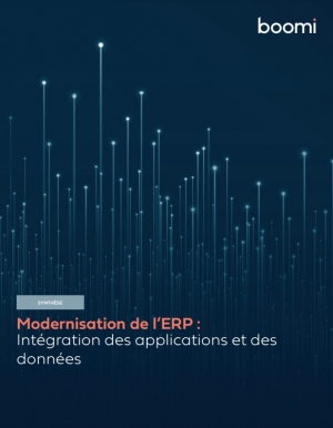 Modernisation de l'ERP: intgration des applications et des donnes