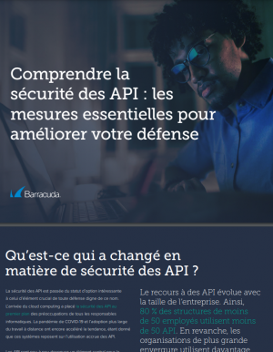 S�curit� des API : les mesures essentielles � prendre