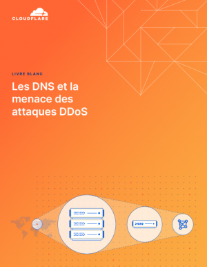 DNS : Des serveurs menac�s par des attaques DDoS