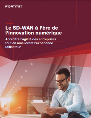 Le SD-WAN  l're de l'innovation numrique