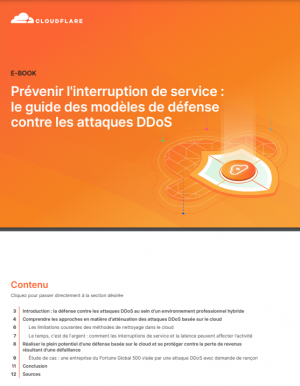 Prot�gez vos applications cloud : D�couvrez le guide anti-DDoS