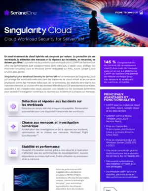 Singularity Cloud: la solution CWPP