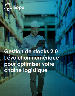 Quelles solutions pour optimiser votre gestion des stocks?