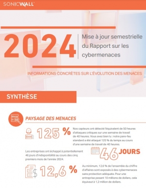 Mise  jour semestrielle du Rapport 2024 sur les cybermenaces