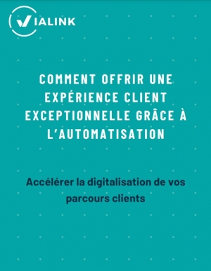 "Optimisation des parcours clients : Offrir une exprience exceptionnelle grce  l'automatisation"