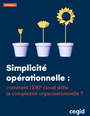 Simplifier la gestion oprationnelle des ETIavec un ERP cloud