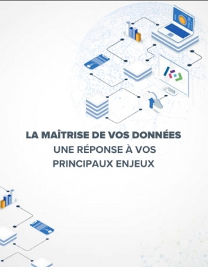 Matrisez vos donnes IT: une stratgie gagnante pour optimiser votre systme d'information