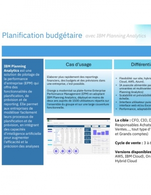 Planification budgtaire avec l'IA : quelle solution choisir ?