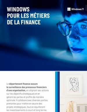 Livre blanc: Direction financire sous pression : entre performance et cyberscurit