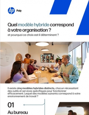 Quel mod�le hybride correspond � votre organisation ?