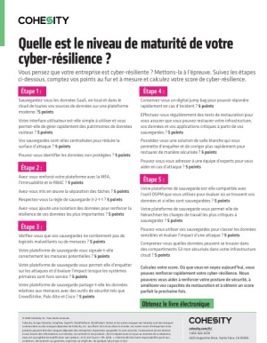 Auto-�valuation du niveau de cyber-r�silience de votre entreprise