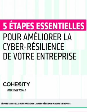 5 �tapes cl�s pour renforcer la cyber-r�silience des entreprises