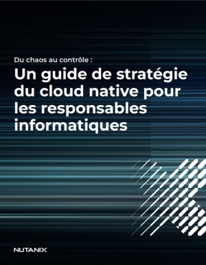 Du chaos au contr�le: Un guide de strat�gie Cloud Native pour les responsables informatiques