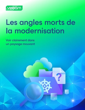 Les angles morts de la modernisation
