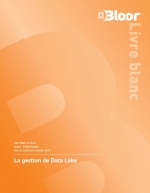 La gestion de Data Lake