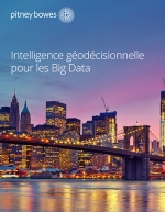 Intelligence godcisionnelle pour les Big Data