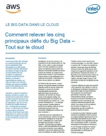 Comment relever les cinq principaux dfis du Big Data - Grce au cloud