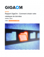 Rapport GigaOm : comment choisir votre catalogue de donnes.