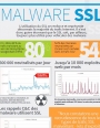 Infographie : Malware SSL