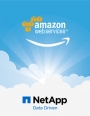 Infographie : Pourquoi utiliser NetApp Cloud Volumes avec AWS ?