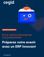 Productivit et innovation : les avantages des ERP