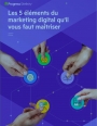 eBook: 5 lments du marketing digital  matriser