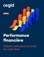Performance Financire: utilisez autrement le levier du cash-flow