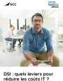 DSI : quels leviers pour rduire les cots IT ?