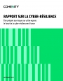 Le foss� de la cyber-r�silience face aux cyberattaques majeures