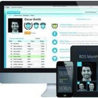 Les partenaires de Salesforce.com ont la possibilit de personnaliser l'app mobile de l'diteur.