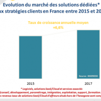 Evolution du march des solutions et services participant aux stratgies digitales en France entre 2015 et 2017. (crdit : Markess / cliquer sur l'image)