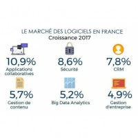Sur le march du logiciel en France en 2017, IDC anticipe que la plus forte progression se fera sur les applications et les produits de scurit. (crdit : IDC)