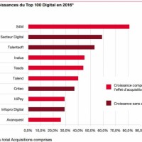 Les 10 premire croissances du Top 100 Digital en 2016. (crdit : D.R.)