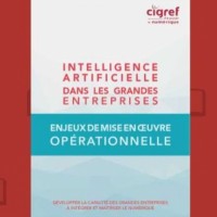  Intelligence Artificielle dans les Grandes Entreprises  vient dtre publi par le Cigref. (crdit : D.R.)