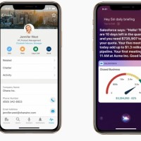 L'intgration de Salesforce  l'iOS permettra galement aux utilisateurs de se servir d'Einstein Voice, l'assistant vocale de Salesforce, avec Siri. (Crdit : Apple)