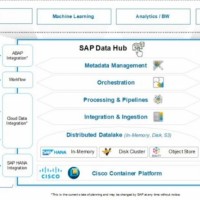 La solution Data Hub de SAP va maintenant pouvoir reposer sur l'environnement Container Platform de Cisco. (crdit : Cisco)