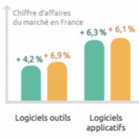 La vente de logiciels en mode software-as-a-service reprsentera 25% du chiffre d'affaires des diteurs de logiciels en France en 2019. (Crdit : Syntec Numrique)