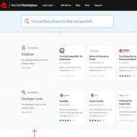 Plusieurs partenaires sont présents sur la marketplace de Red Hat/IBM