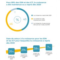 46% des ESN et ICT sont parvenues à maintenir leur croissance tout au long de l'année 2020. Illustration : KPMG / Numeum
