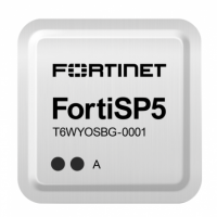 Avec son ASIC FortiSP5, Fortinet renforce les capacités de traitements de ses équipements de sécurité, notamment pour le traitements des flux chiffrés. (Crédit Fortinet)