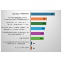 Principaux obstacles qui empchent les partenaires de distribution B2B/revendeurs informatiques de soutenir efficacement les PME dans leur parcours vers lagilit numrique. (Illustration : Sage)