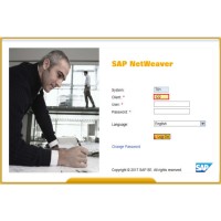 Des failles sur les systmes SAP peuvent atteindre 250 000 dollars sur les forums de cybercriminels. (Crdit Photo : SAP)