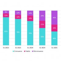 40 % des éditeurs et des prestataires de services IT interrogés par Numeum s'attendent désormais à voir leurs revenus reculer en 2025. (Source : Numeum/PAC) 40 % des éditeurs et des prestataires de services IT interrogés par Numeum s'attendent désormais à voir leurs revenus reculer en 2025. (Source : Numeum/PAC)