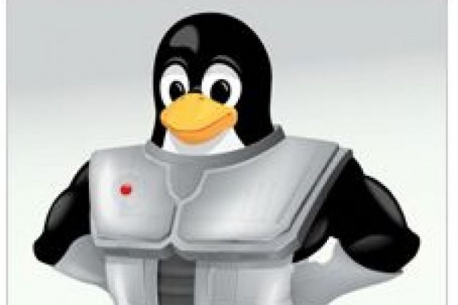 Unbreakable Linux, d'Oracle, sort dans une version 2.0 qui supporte le systme de gestion de fichiers Btrfs (crdit illustration : Oracle)