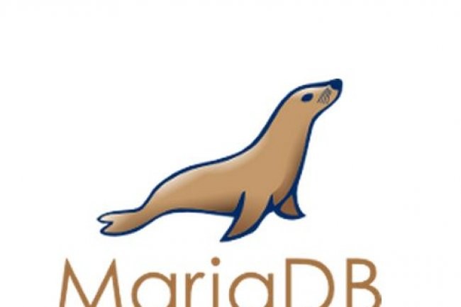 Infor propose de déployer son ERP LN sur des briques Open Source dont la base de données Open Source MariaDB (ci-dessus : crédit D.R.)