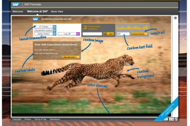 Avec Screen Personas, SAP propose de ramnager et d'agrmenter l'interface de ses logiciels de gestion. (crdit : SAP / cliquer sur l'image pour l'agrandir) 