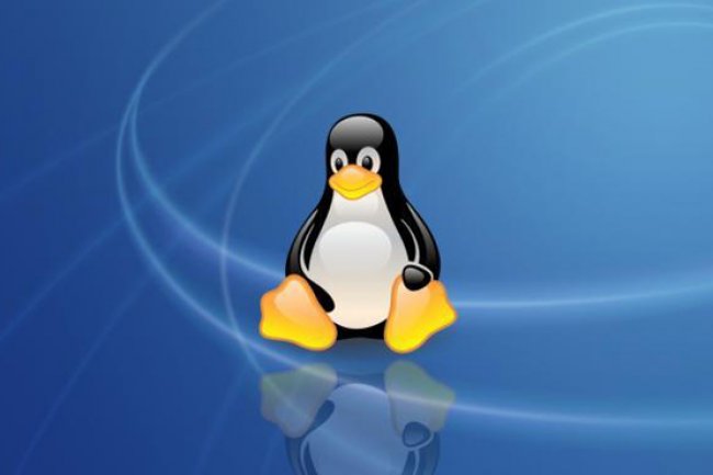 Un groupe d'utilisateurs Linux dépose une plainte antitrust contre Microsoft