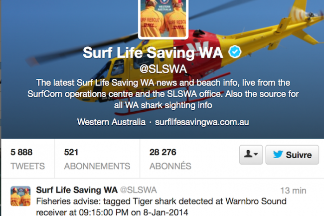 Les secouristes australiens reoivent des alertes sous forme de tweets quand les requins pointent le bout de leur nez
