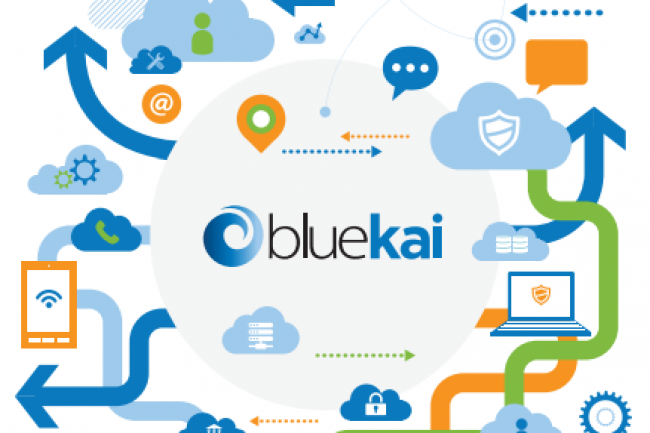 BlueKai, que vient de racheter Oracle, agrège des données sur les consommateurs pour les campagnes marketing sur le web et les terminaux mobiles, mais aussi offline. (Crédit Photo: D.R.)
