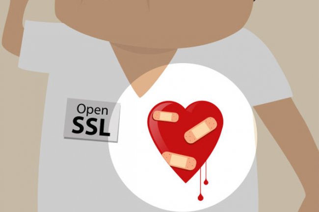 La faille OpenSSL vendue par un groupe de hackers sur Pastebin serait en fait une belle arnaque.
